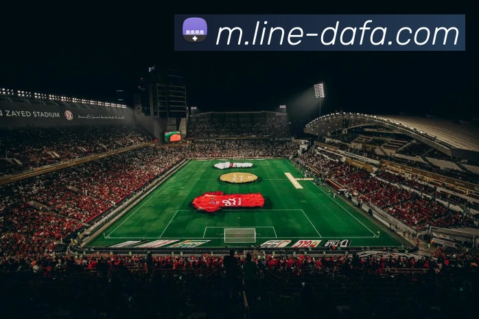 大发官网APP 封面图